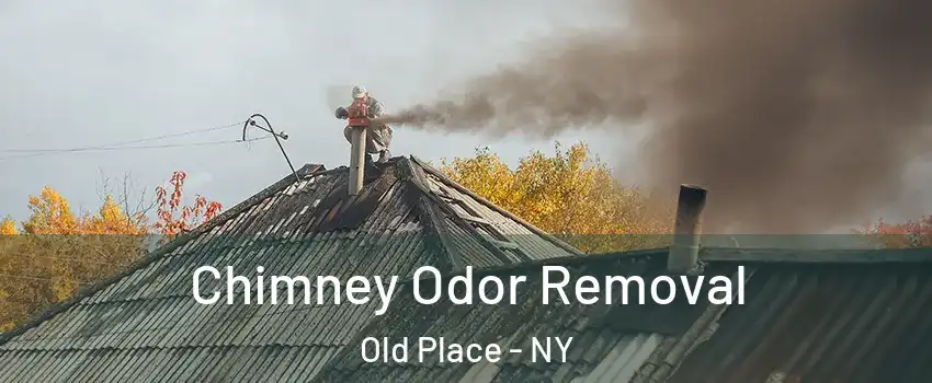 Chimney Odor Removal Old Place - NY