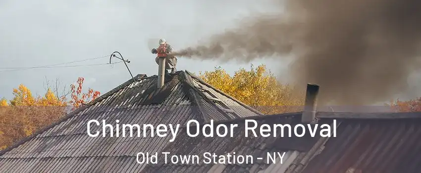 Chimney Odor Removal Old Town Station - NY