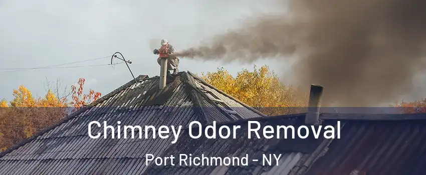 Chimney Odor Removal Port Richmond - NY