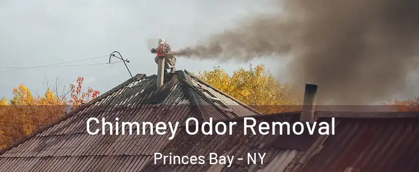 Chimney Odor Removal Princes Bay - NY