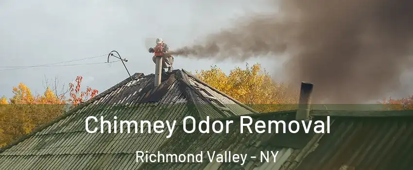 Chimney Odor Removal Richmond Valley - NY