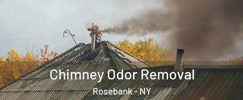 Chimney Odor Removal Rosebank - NY