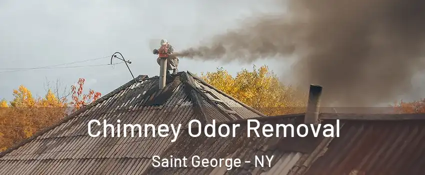 Chimney Odor Removal Saint George - NY