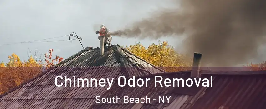 Chimney Odor Removal South Beach - NY