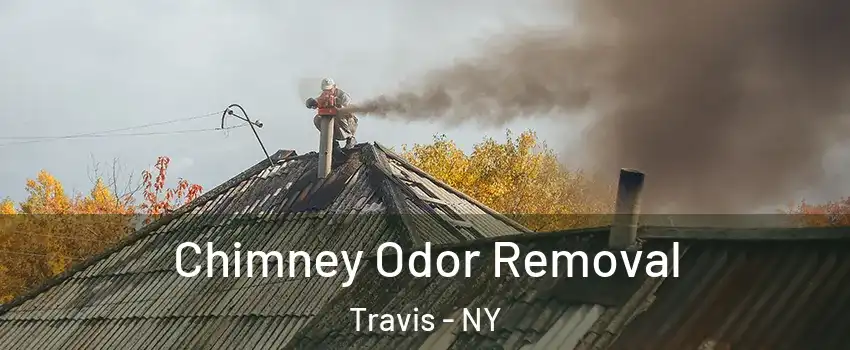 Chimney Odor Removal Travis - NY