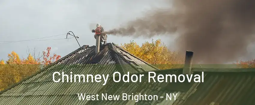 Chimney Odor Removal West New Brighton - NY