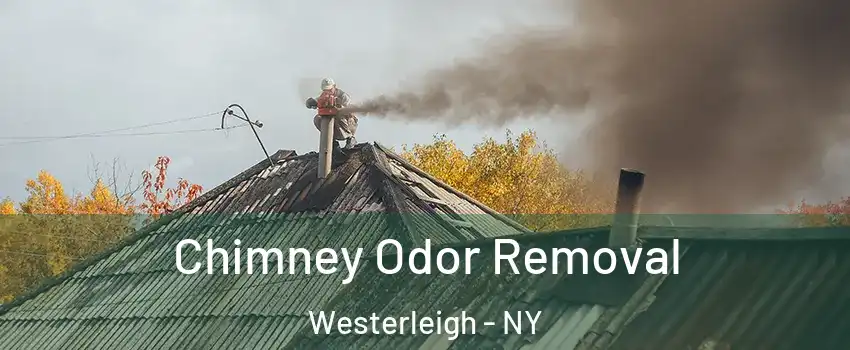 Chimney Odor Removal Westerleigh - NY