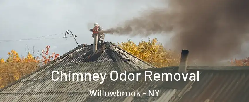 Chimney Odor Removal Willowbrook - NY