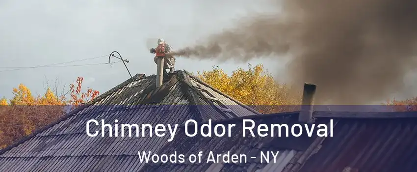 Chimney Odor Removal Woods of Arden - NY