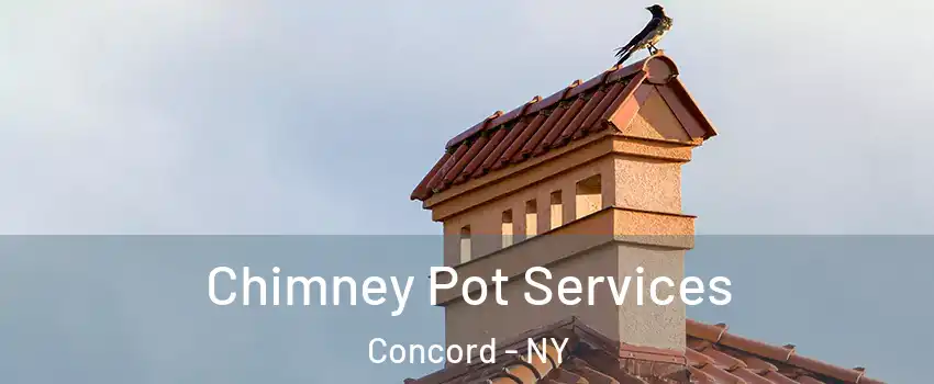 Chimney Pot Services Concord - NY