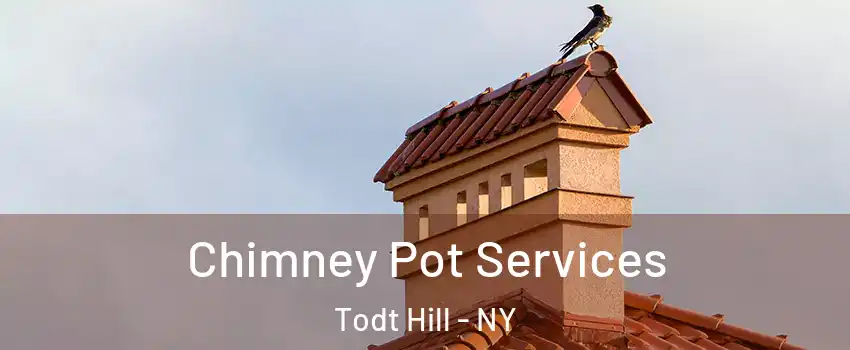 Chimney Pot Services Todt Hill - NY