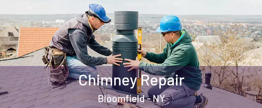 Chimney Repair Bloomfield - NY