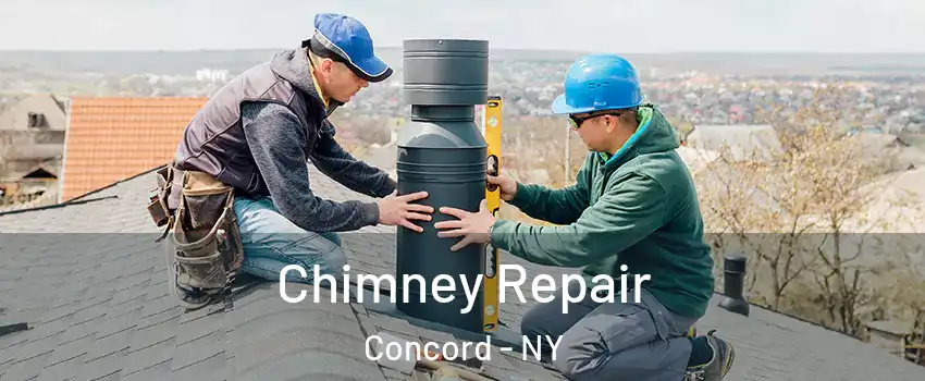 Chimney Repair Concord - NY