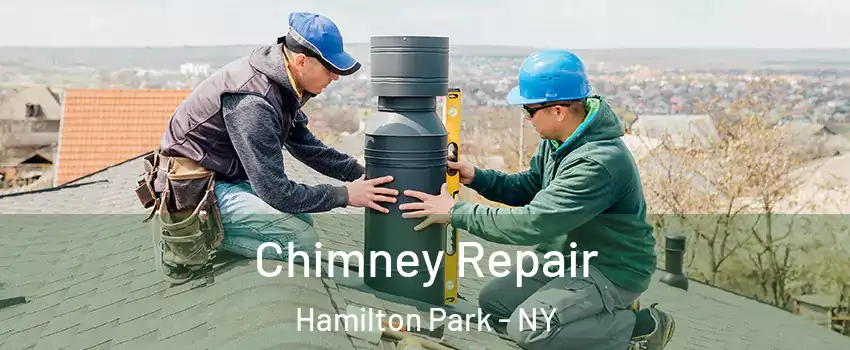 Chimney Repair Hamilton Park - NY