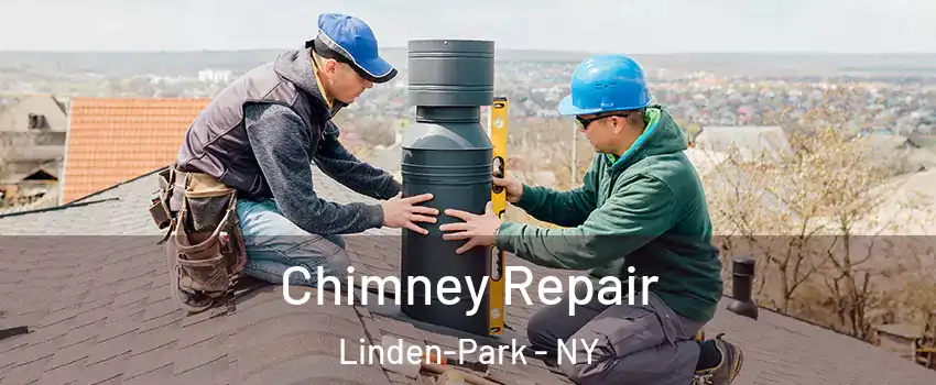 Chimney Repair Linden-Park - NY