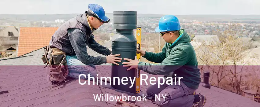 Chimney Repair Willowbrook - NY