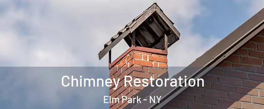 Chimney Restoration Elm Park - NY