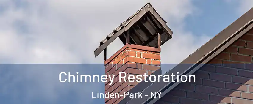 Chimney Restoration Linden-Park - NY