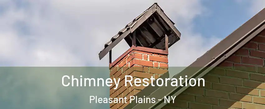 Chimney Restoration Pleasant Plains - NY