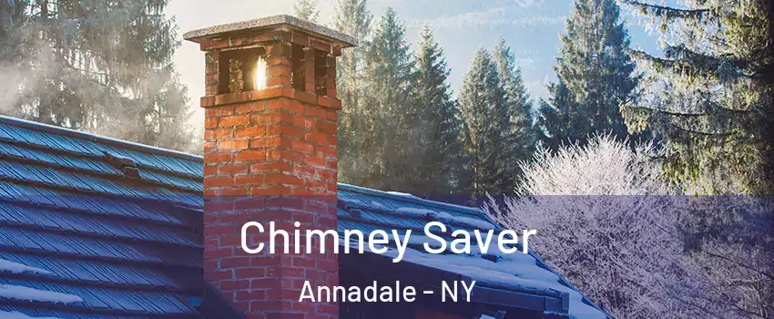 Chimney Saver Annadale - NY