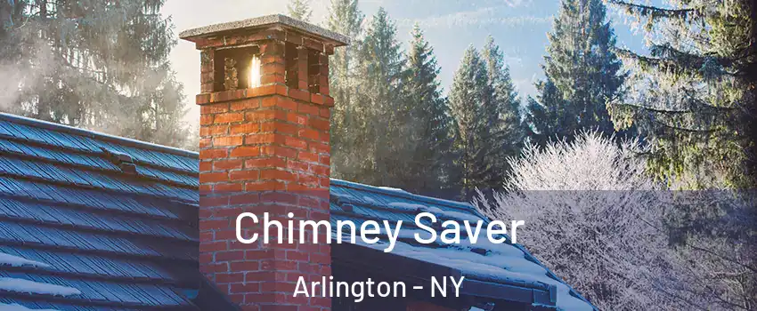 Chimney Saver Arlington - NY