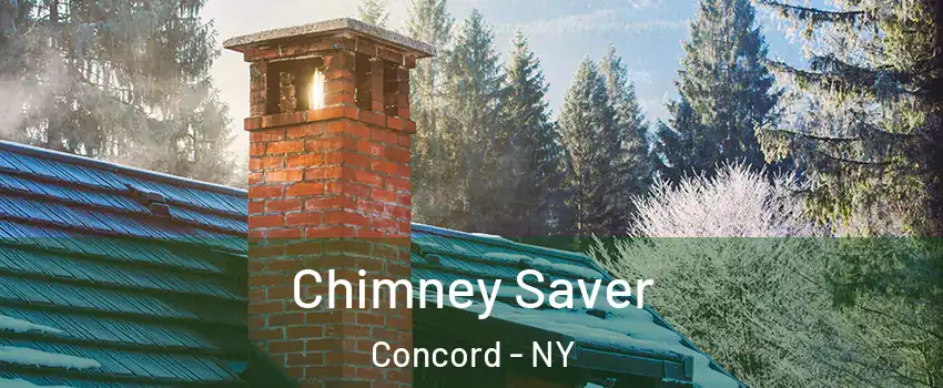 Chimney Saver Concord - NY