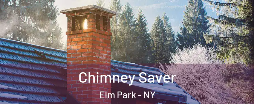 Chimney Saver Elm Park - NY