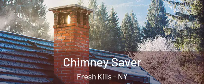 Chimney Saver Fresh Kills - NY