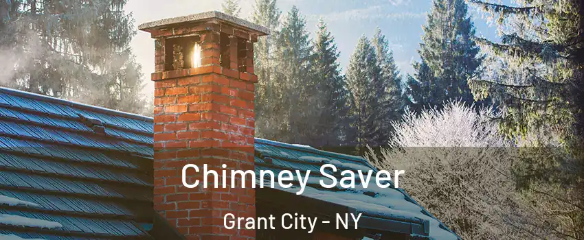 Chimney Saver Grant City - NY