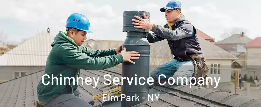 Chimney Service Company Elm Park - NY