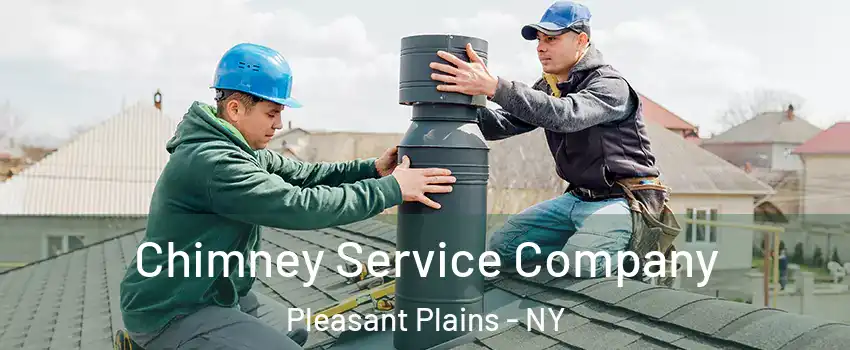 Chimney Service Company Pleasant Plains - NY