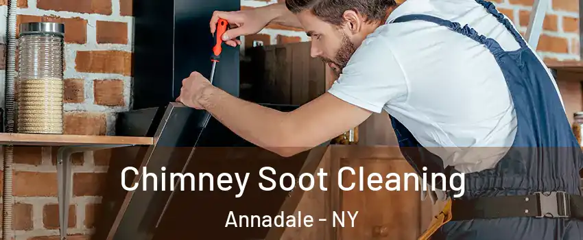 Chimney Soot Cleaning Annadale - NY