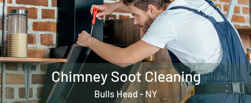 Chimney Soot Cleaning Bulls Head - NY