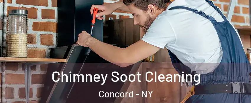 Chimney Soot Cleaning Concord - NY