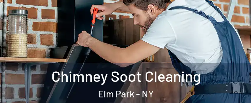 Chimney Soot Cleaning Elm Park - NY