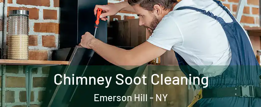 Chimney Soot Cleaning Emerson Hill - NY