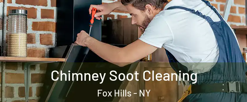 Chimney Soot Cleaning Fox Hills - NY