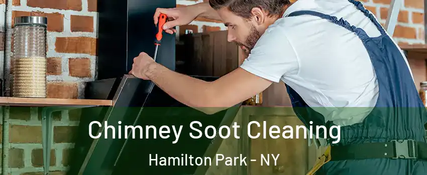 Chimney Soot Cleaning Hamilton Park - NY