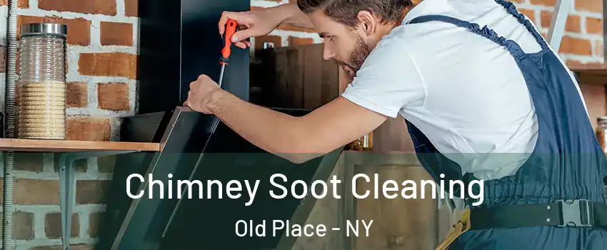 Chimney Soot Cleaning Old Place - NY