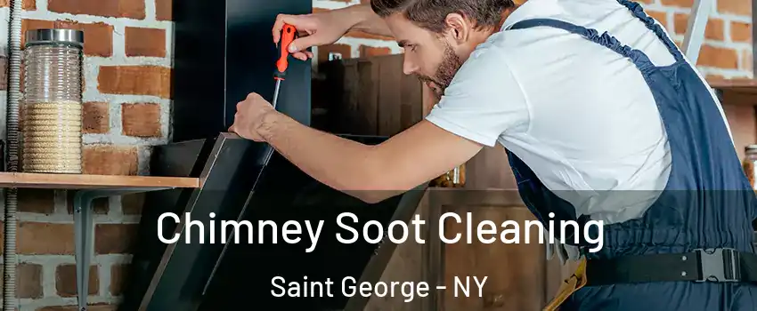 Chimney Soot Cleaning Saint George - NY