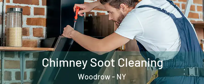 Chimney Soot Cleaning Woodrow - NY