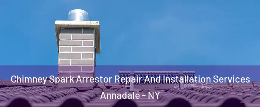 Chimney Spark Arrestor Repair And Installation Services Annadale - NY