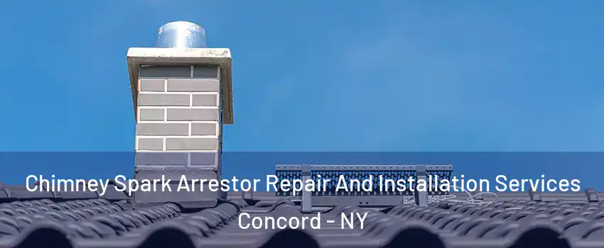 Chimney Spark Arrestor Repair And Installation Services Concord - NY