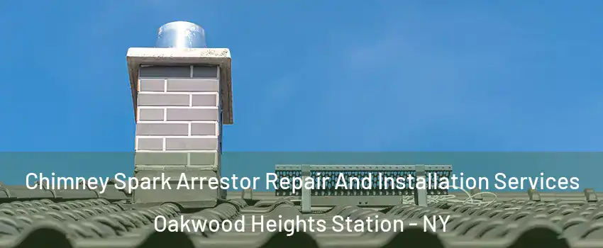 Chimney Spark Arrestor Repair And Installation Services Oakwood Heights Station - NY