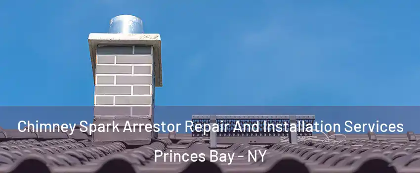 Chimney Spark Arrestor Repair And Installation Services Princes Bay - NY