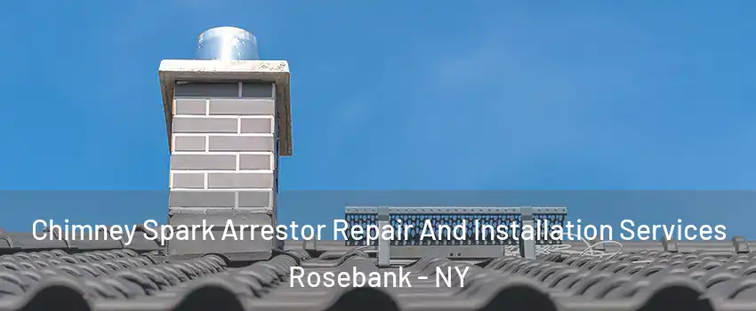 Chimney Spark Arrestor Repair And Installation Services Rosebank - NY