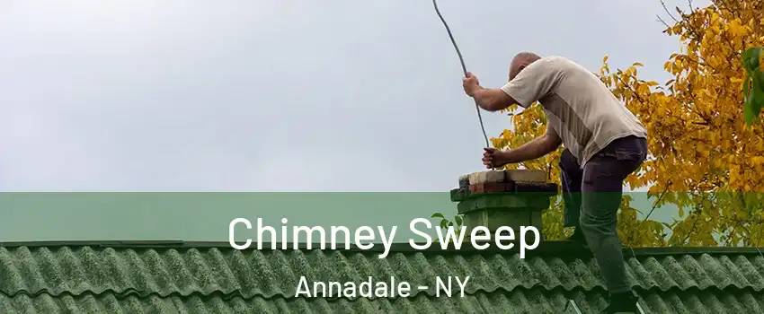 Chimney Sweep Annadale - NY