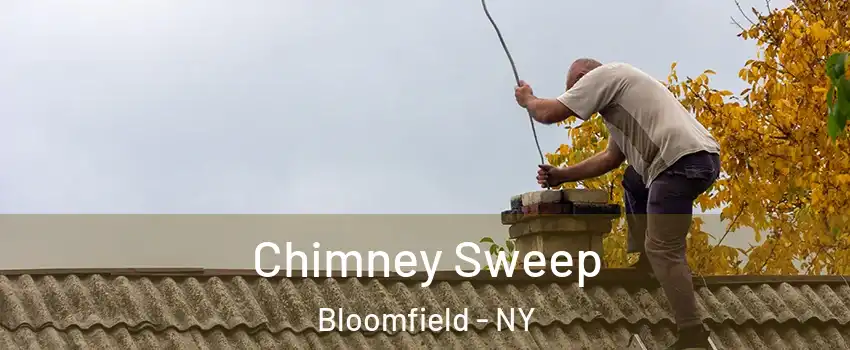 Chimney Sweep Bloomfield - NY