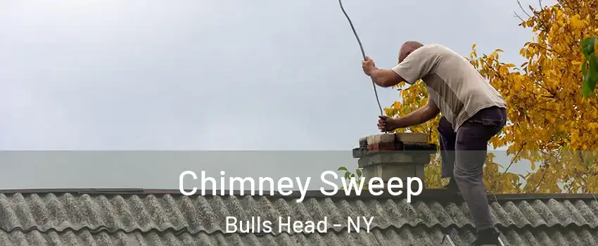 Chimney Sweep Bulls Head - NY