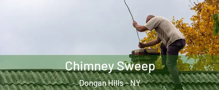 Chimney Sweep Dongan Hills - NY